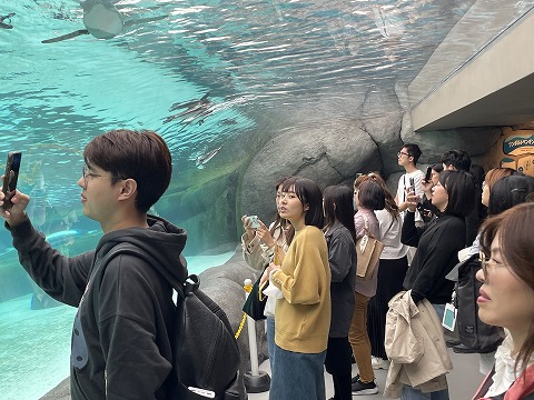 動物園